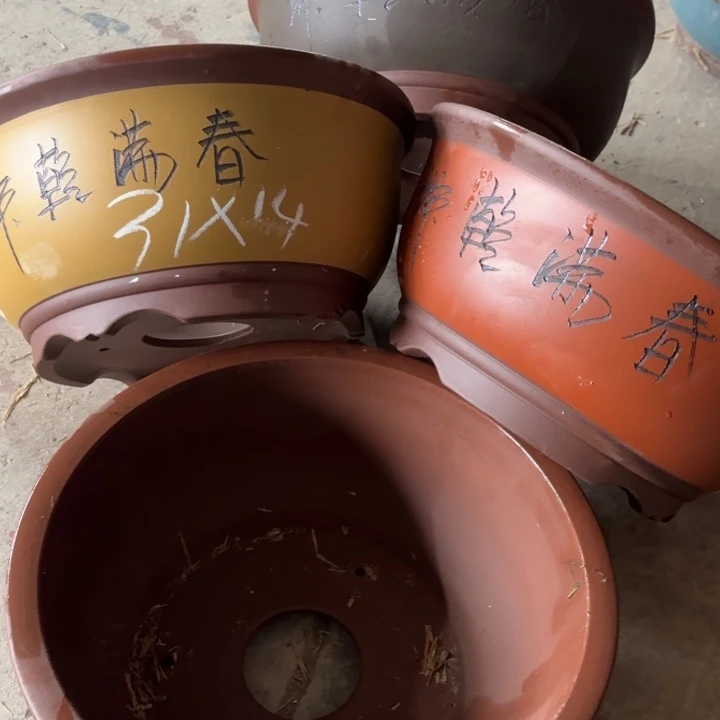 紫砂花盆100-4。 31-14。