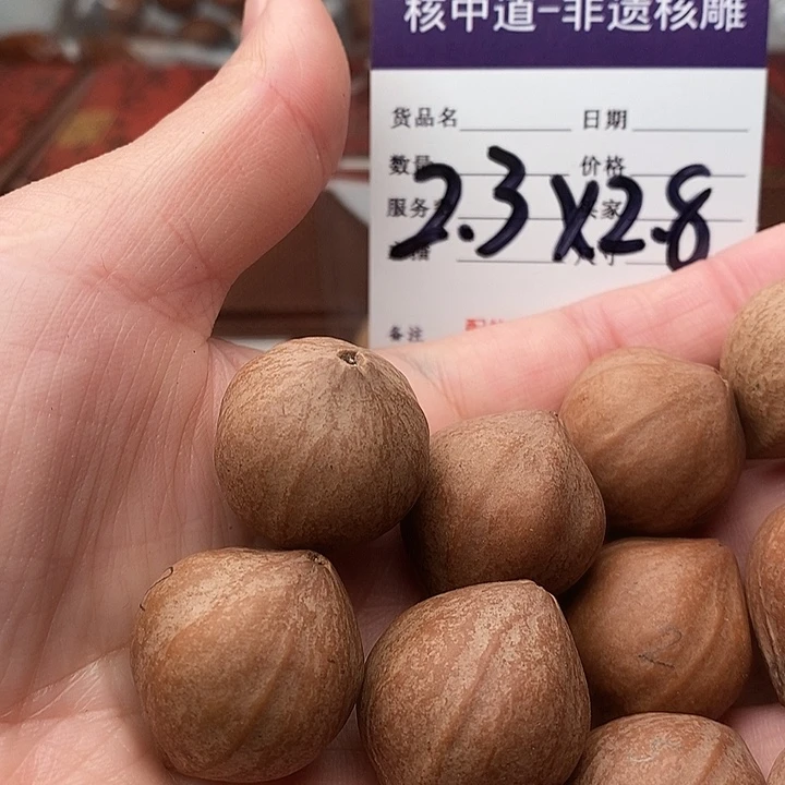手串/手链橄榄核蝎**莱