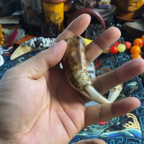 寻呼台的人也太少见啦