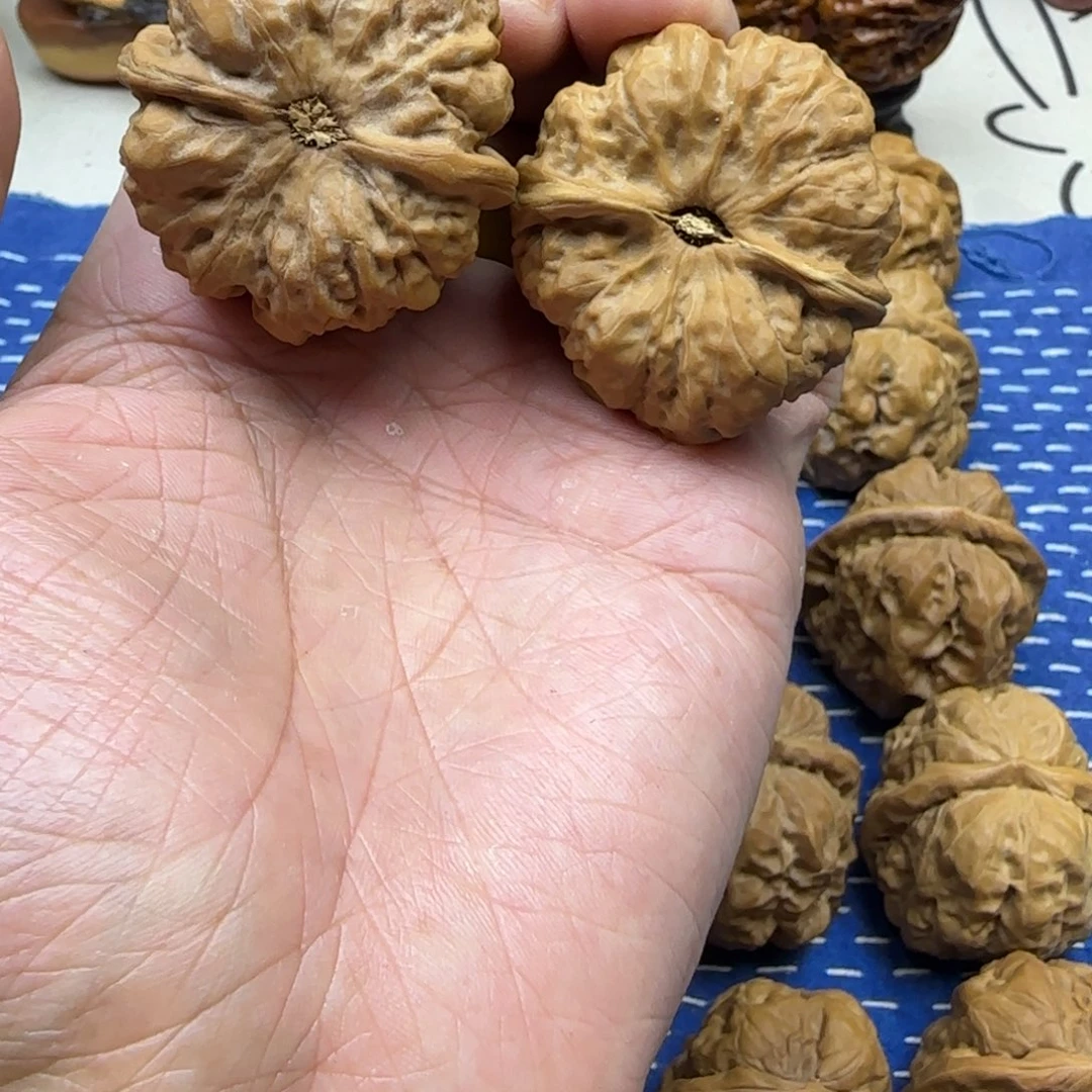 核桃蛤蟆头精品对