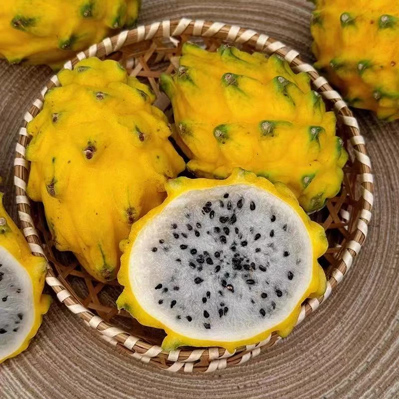 （顺丰包邮）海南果当季新鲜树上熟 麒麟果 燕窝果 甘甜爆汁