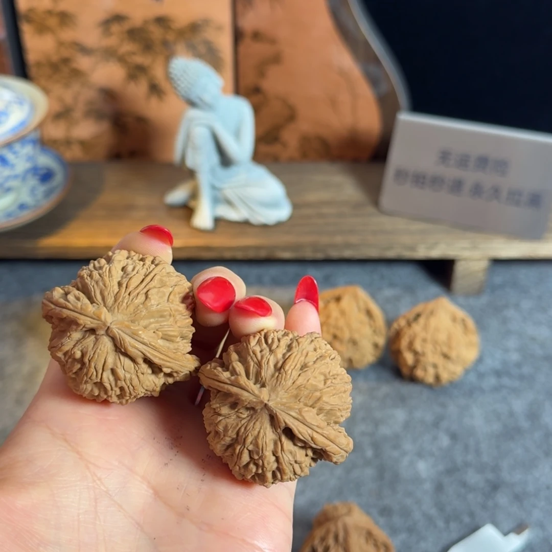 全品44闷白白狮子