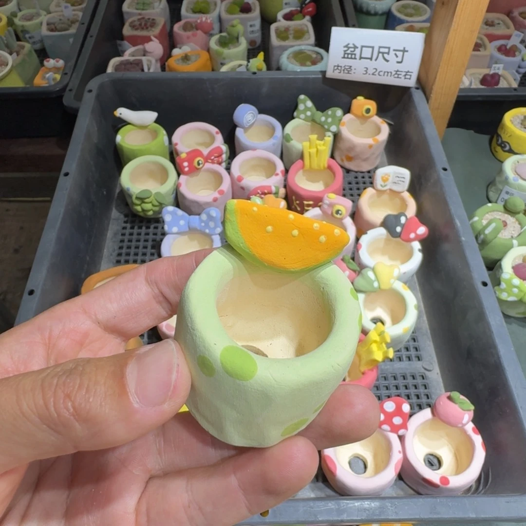 锐*?蘑菇293花盆花盆