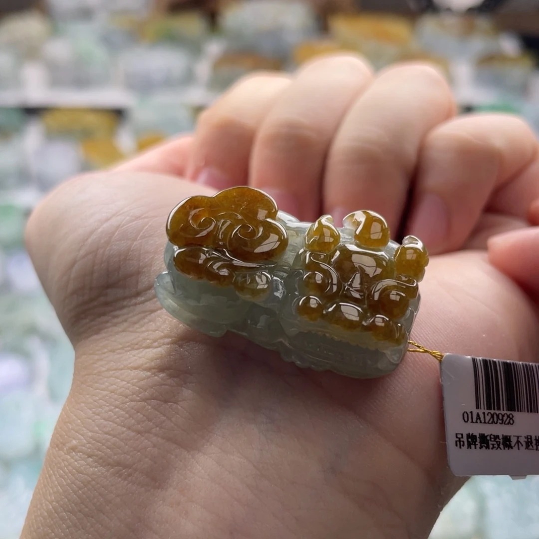 翡翠未镶嵌颈饰貔貅32