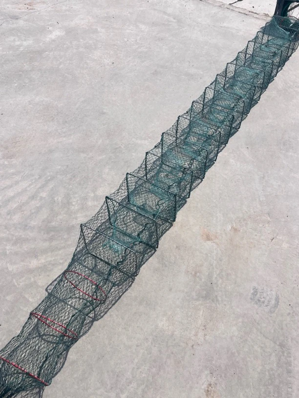 【4米有结网】3.5大网眼19节12进口小龙虾网去小留大养殖网螃蟹鱼笼