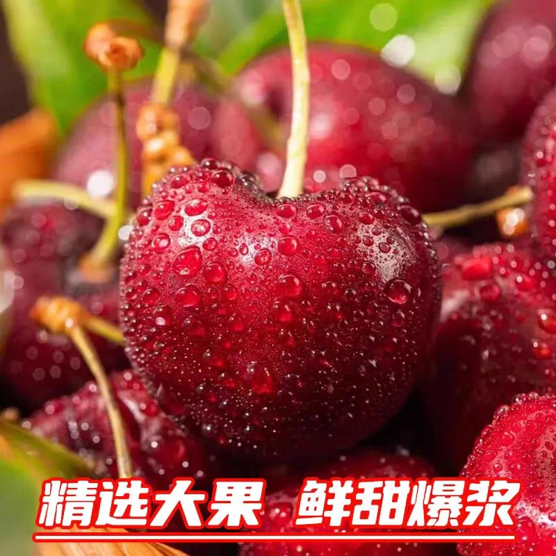 【年货节3J5斤原箱】智利进口海运车厘子3J新鲜脆甜 内附果径卡