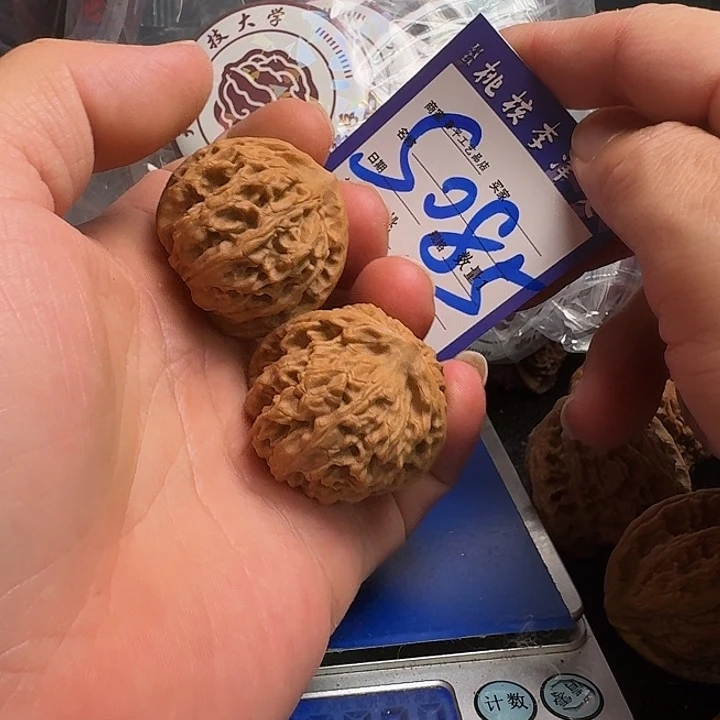 把件文玩核桃37血灯龙