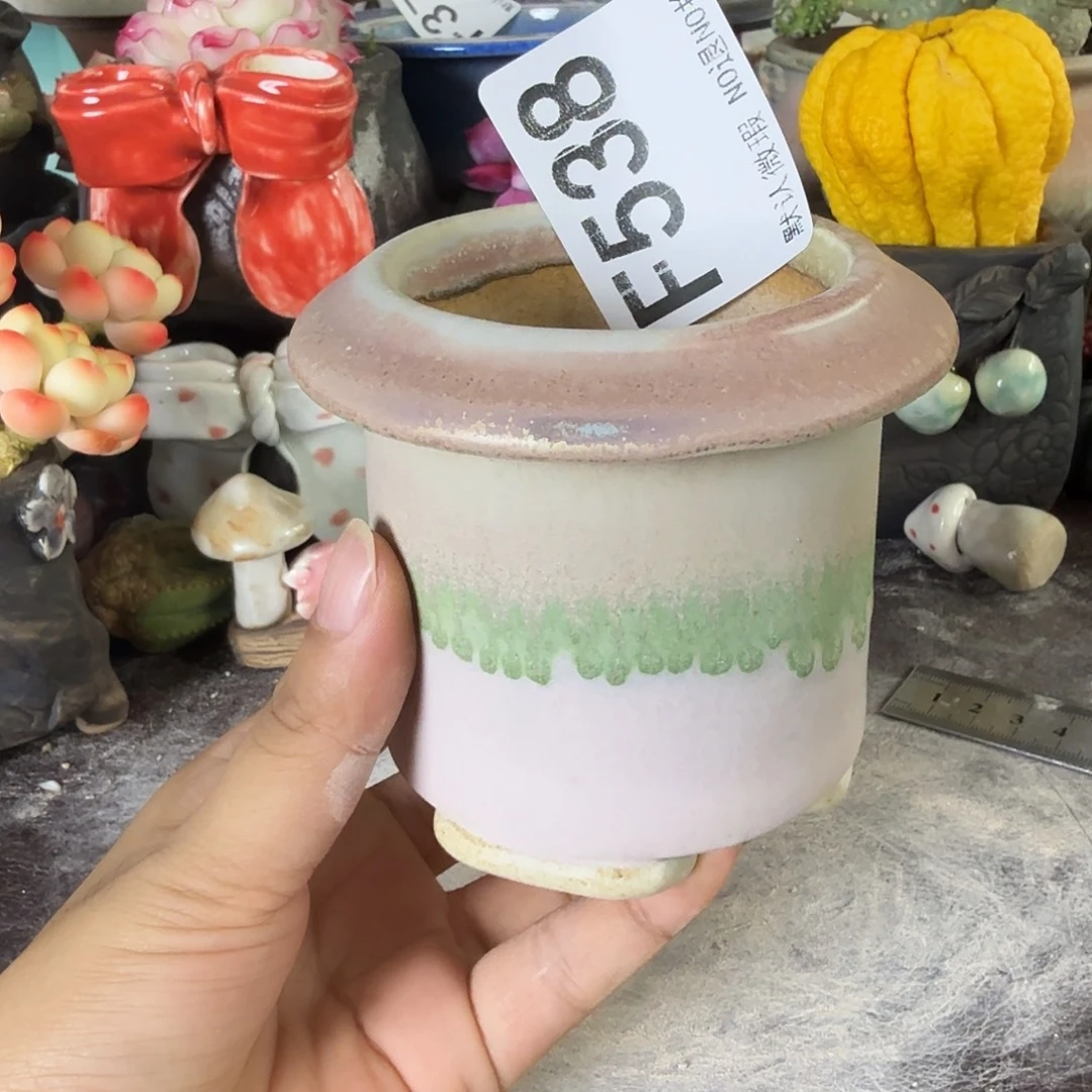 重庆小燕子欢迎大家。538