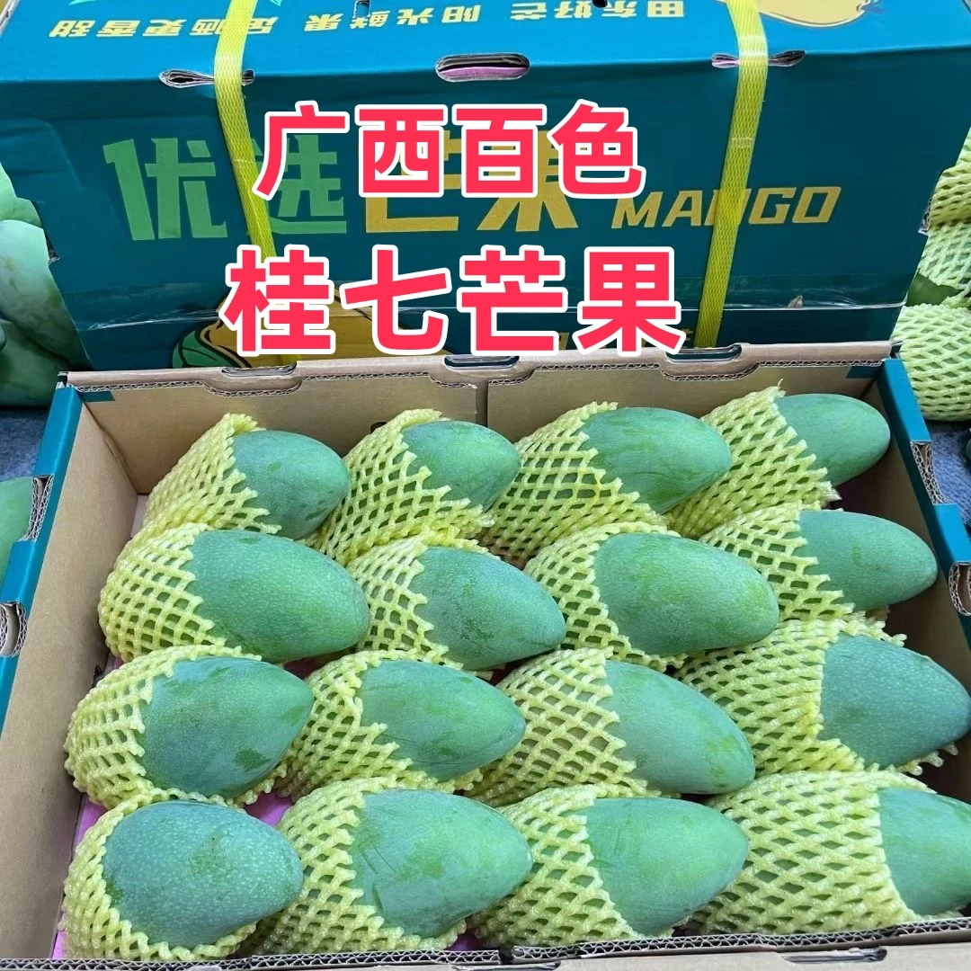 桂七芒果广西百色田东自家果园当季水果新鲜采摘产地直发