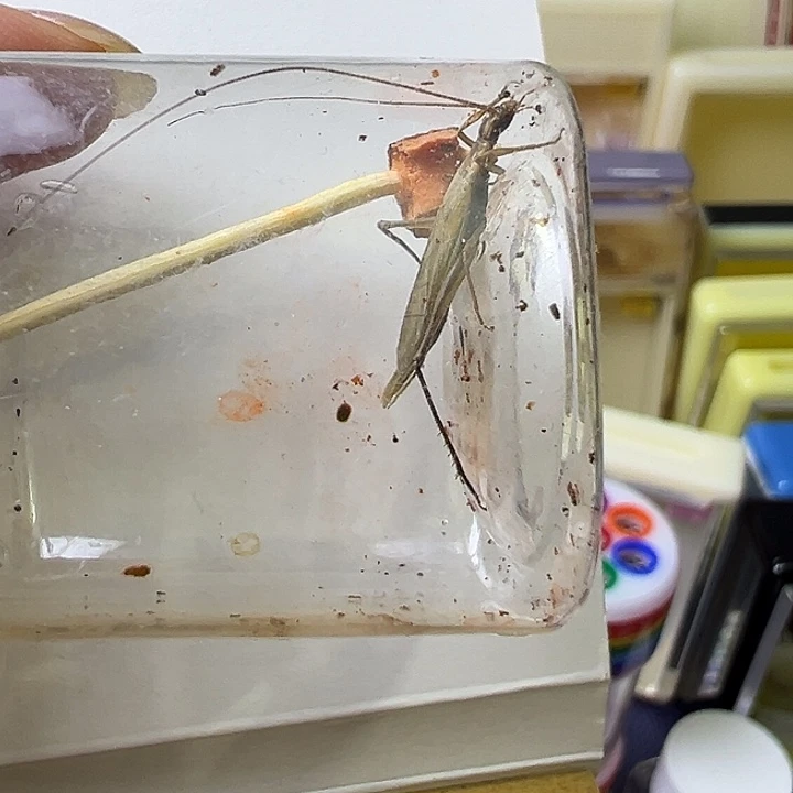 慈***苏蟋蟀哈哈哈哈哈哈哈哈哈哈哈