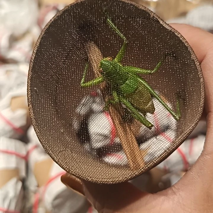 鸣虫葫芦架子车站吧