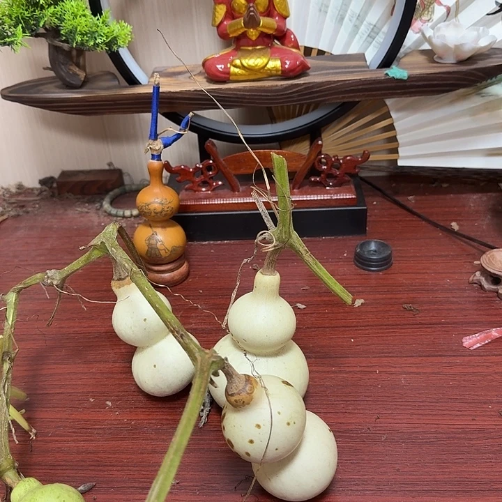 s***edfyujbvcfhuijnnbvhhj