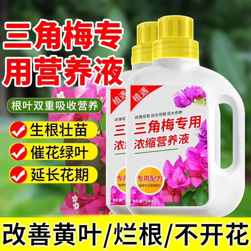 【三角梅专用营养液】催花花卉保鲜剂延长花期花肥复合肥植物营养液