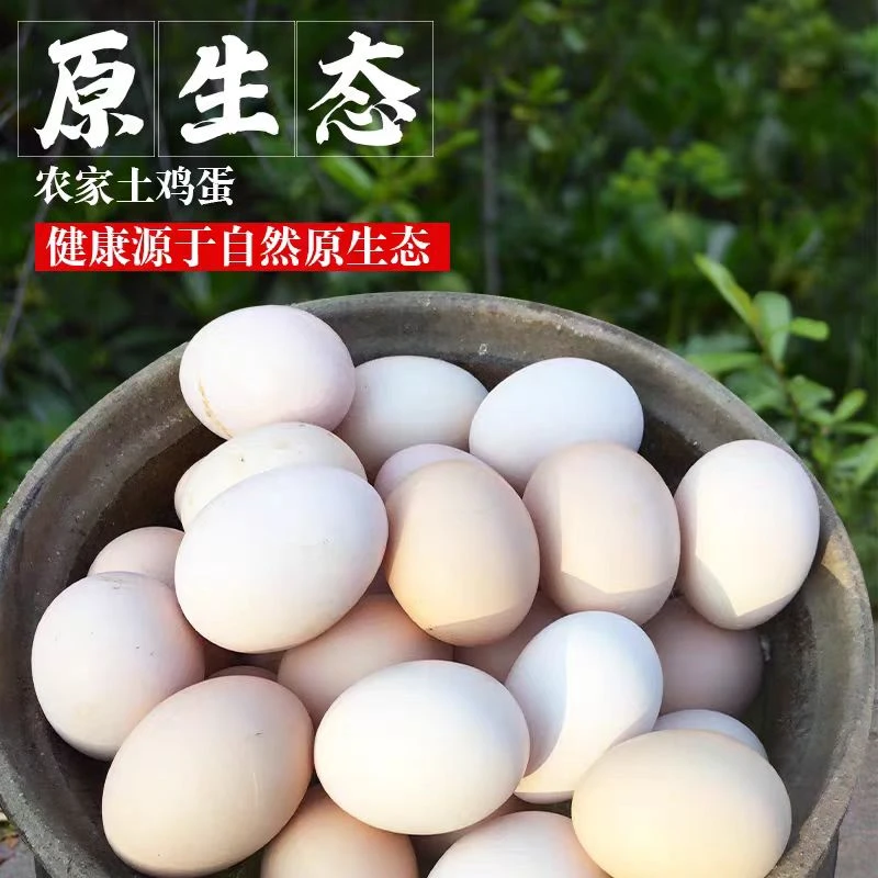 土地娃正宗土鸡蛋30枚农村农家谷物散养土鸡蛋无菌蛋精品蛋