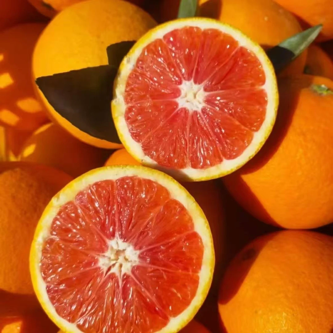 【礼盒】四川血橙柑口感纯甜橙中皇后，毛重9斤，不知火
