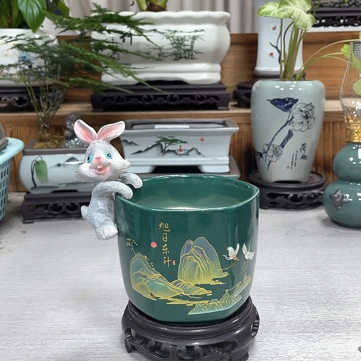 陶瓷花盆紫砂花盆钱抢购福利