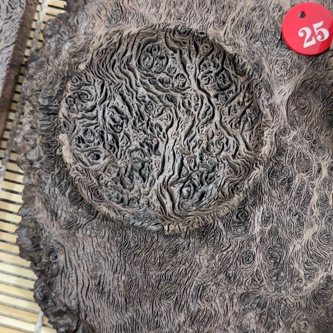 如***海木铁栎木树瘤盘子