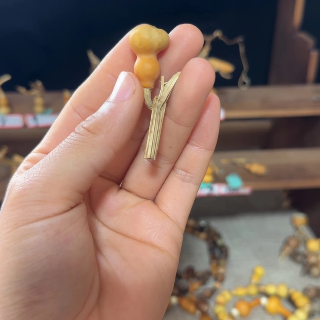 每***秦打孔不退不换！秒拍秒退拉黑！