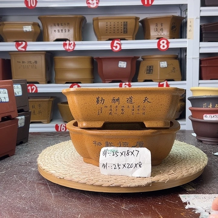 紫砂花盆蛇年大吉