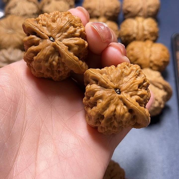 吊坠文玩核桃王****金公子