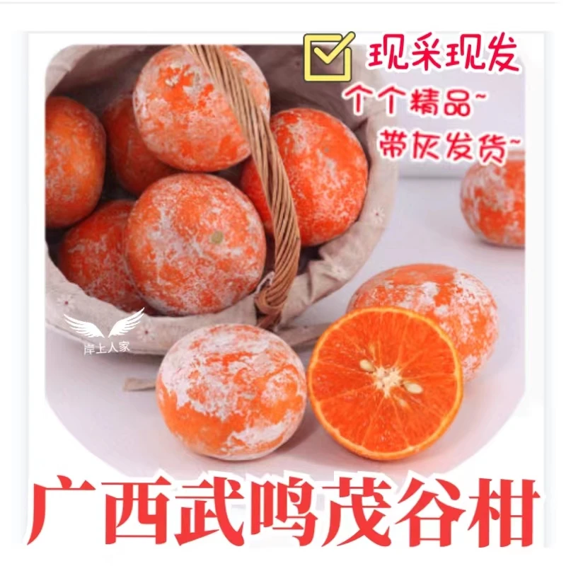 [圆圆专属]广西茂谷柑5斤产地直发