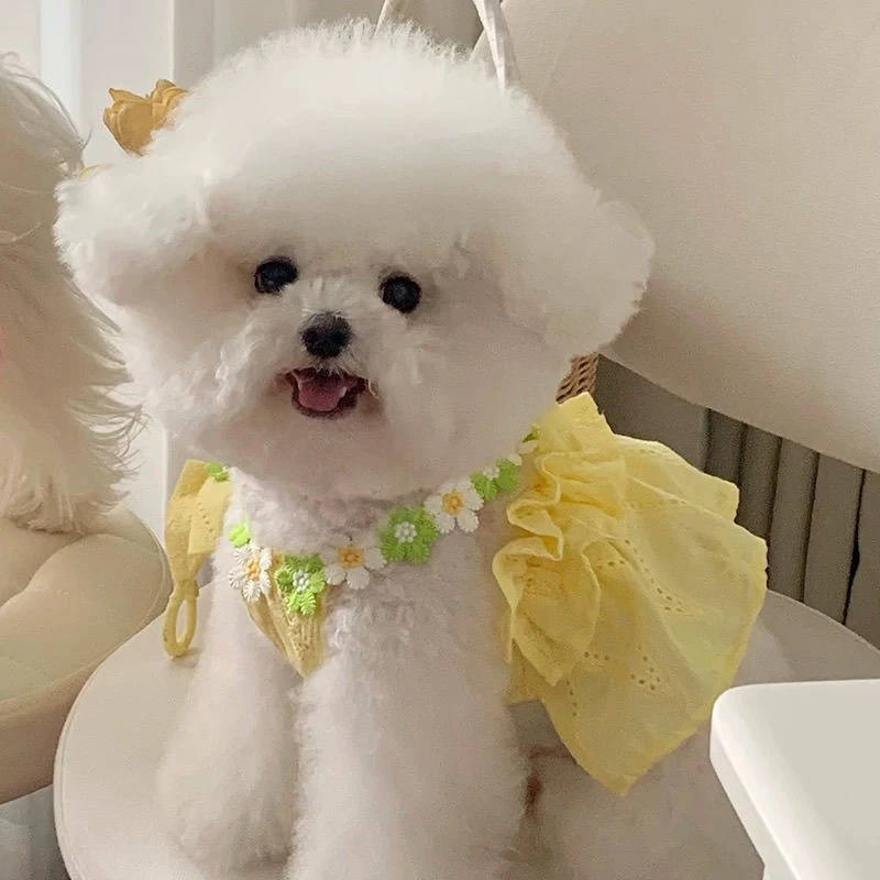 宠物衣服春夏秋薄款韩风花朵吊带裙提花刺绣夏日甜美明媚