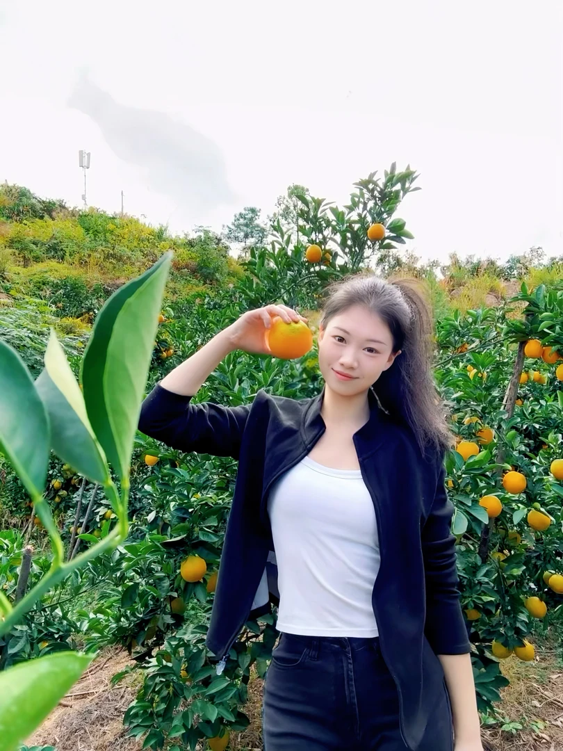 正宗江西赣州（宁都）赣南脐橙新鲜当季水果橙子产地直发手剥冰糖橙