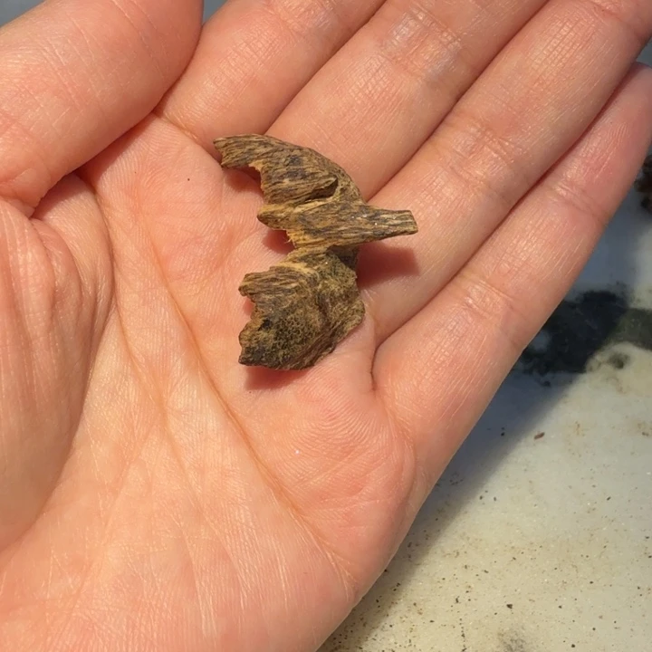 知***日吊坠沉香海南莺歌岭老料沉香1.12克