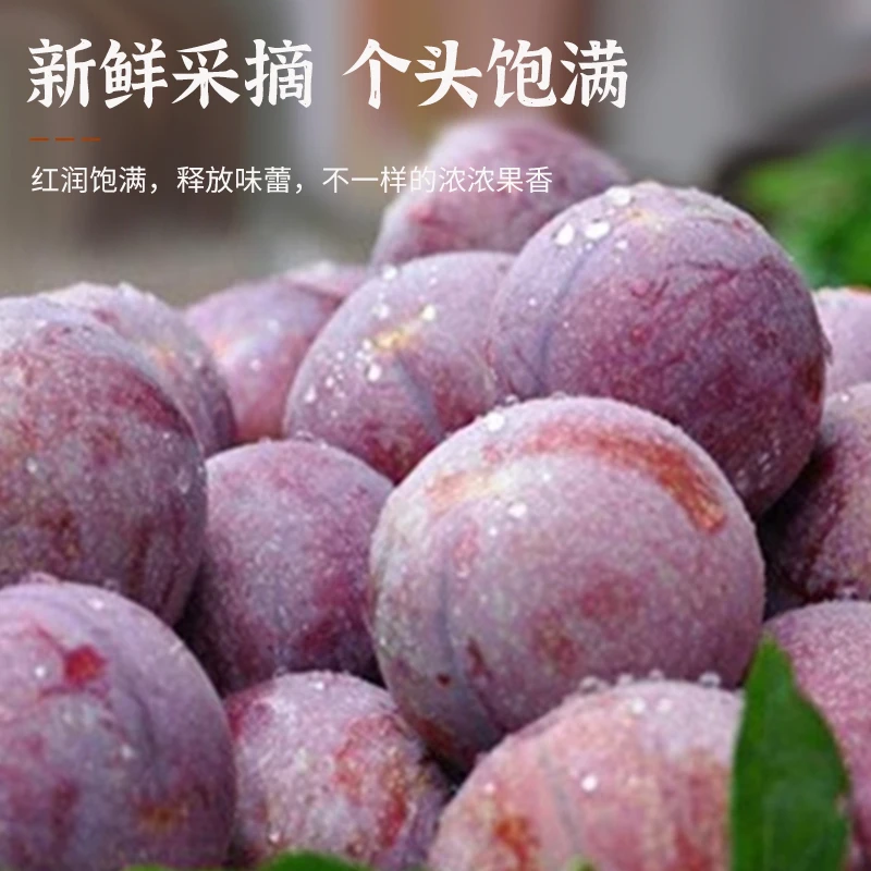 果王广西三华李新鲜采摘酸甜脆口不苦不涩鲜嫩多汁红心李应季水果