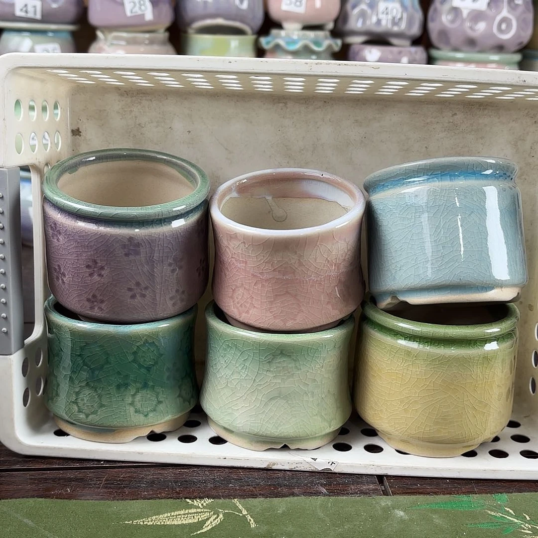 陶瓷量货/口5.5-6高深浅搭配发6个