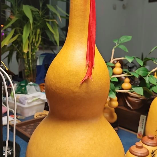 m***m啊啊啊啊啊啊啊啊