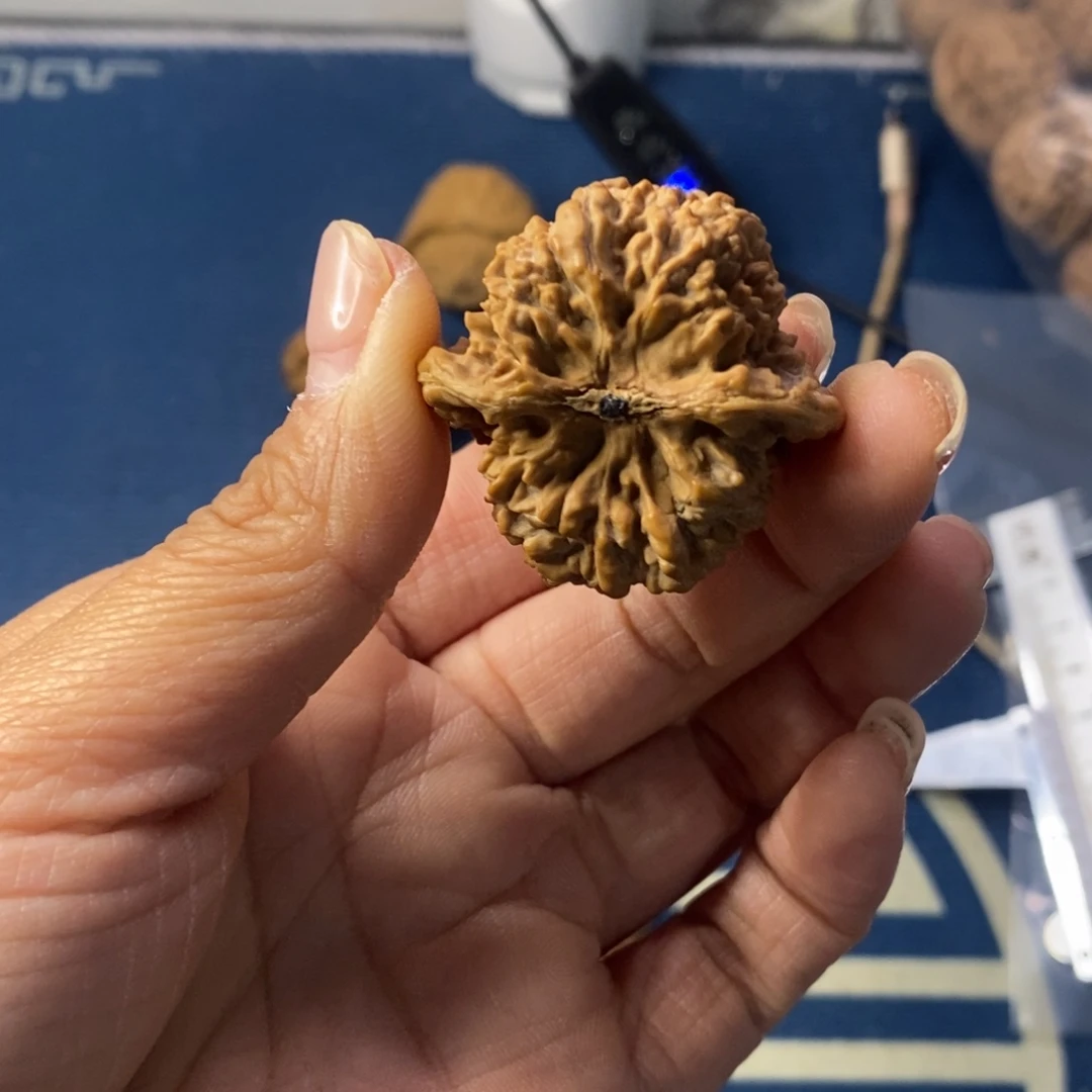 向***阳文玩核桃吊坠满天星