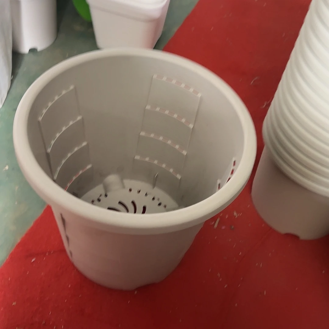 树脂测7无托5个果绿微瑕