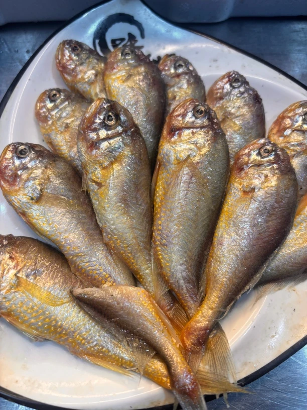 大连本地野生大头宝顺丰包邮