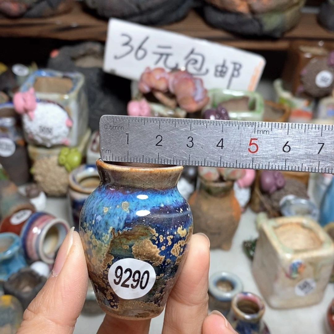 拍5送一个小礼物