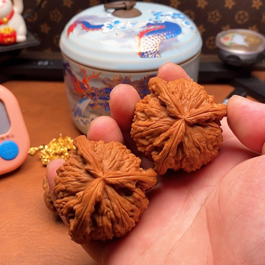 粗筋白本毕业级别46
