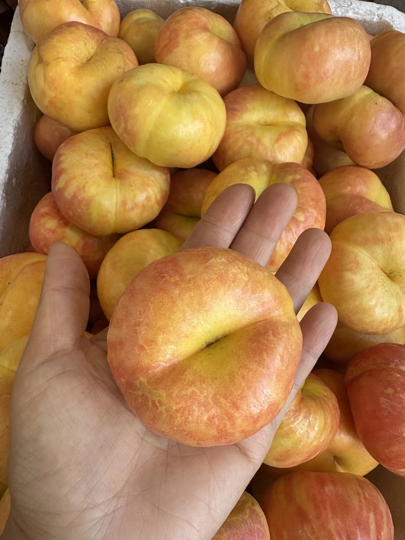 顺丰包邮正宗临沂紫霞油蟠桃现摘现发夏季解暑水果香甜多汁