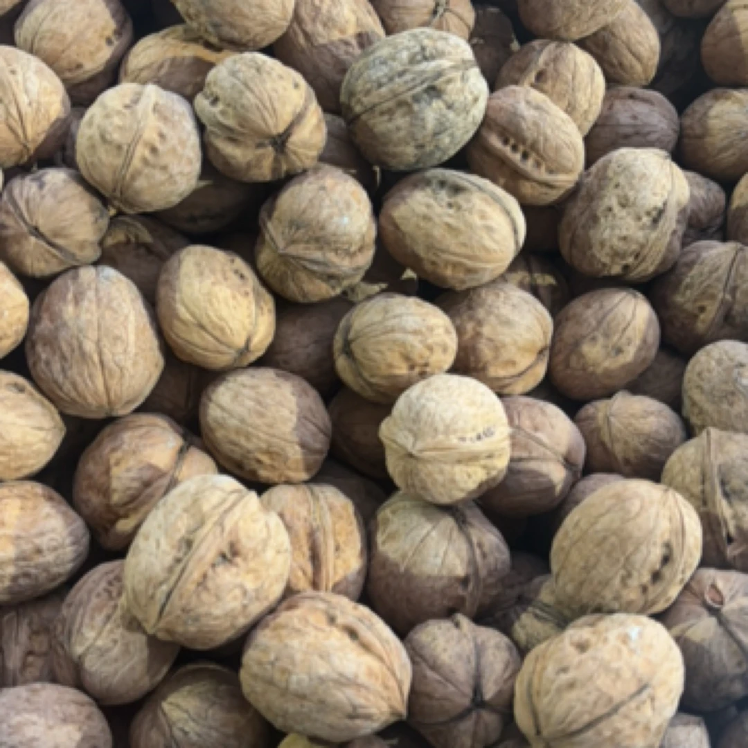 新疆185纸皮核桃1斤