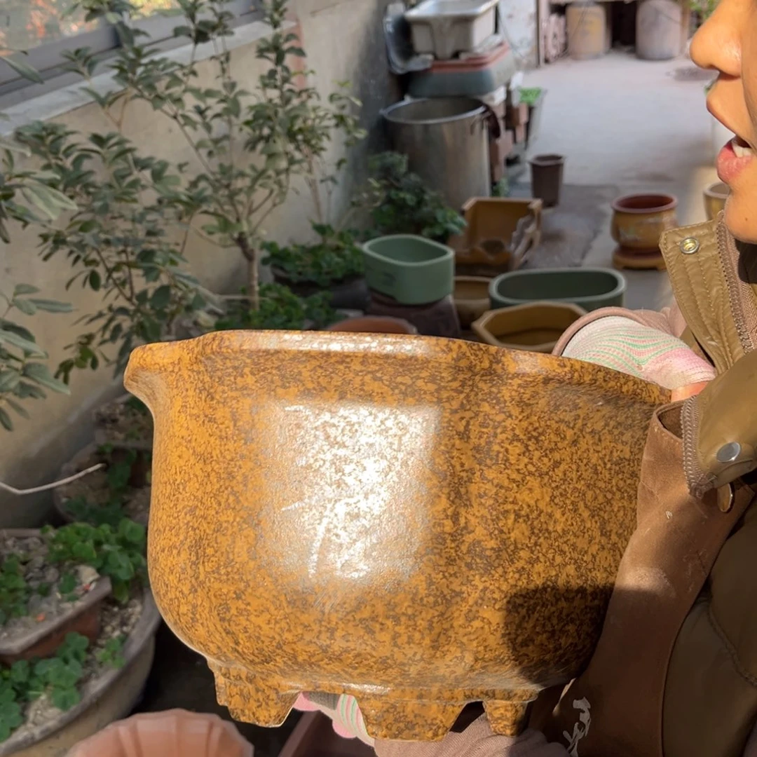 花盆紫砂盆景艺术