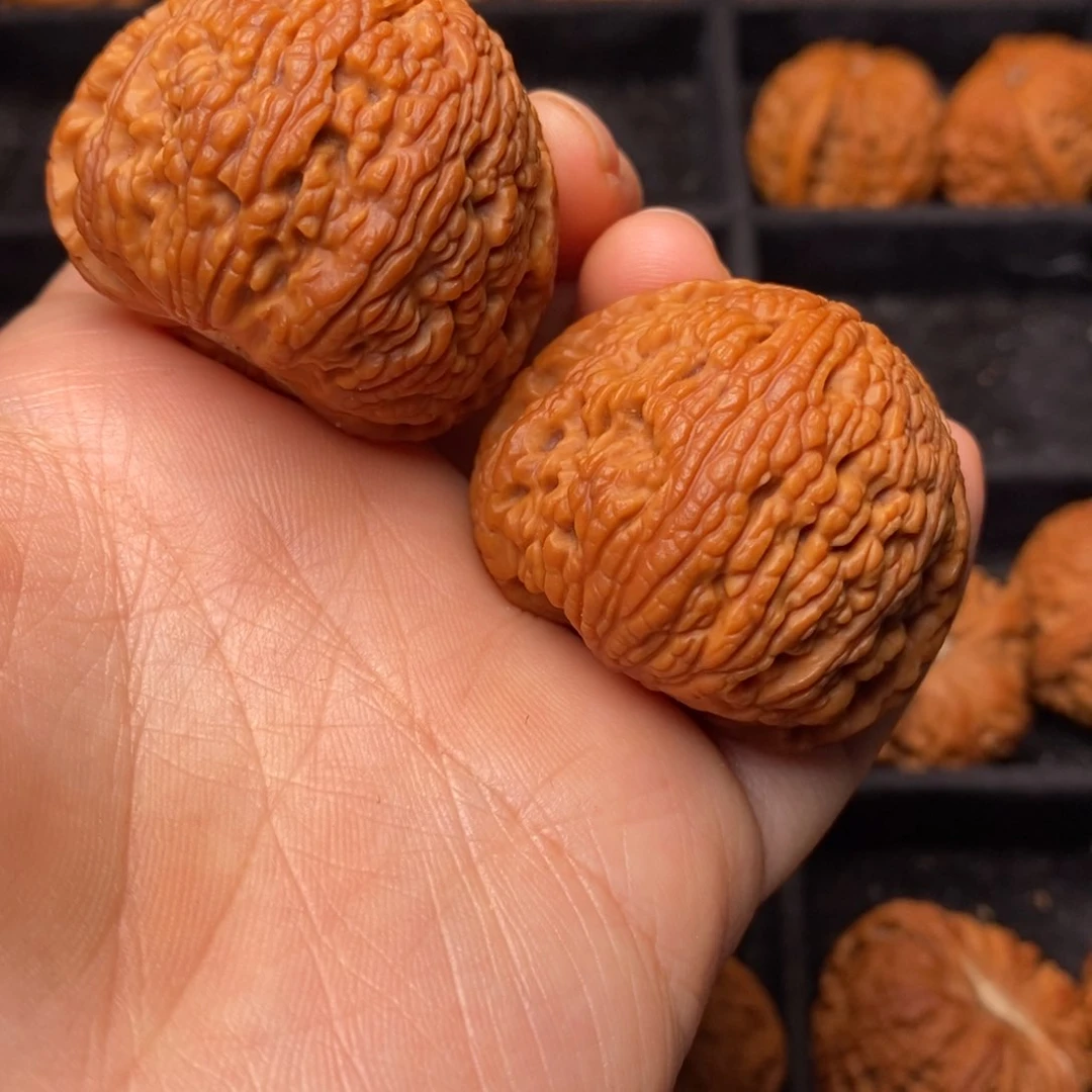 秦岭野生文玩核桃