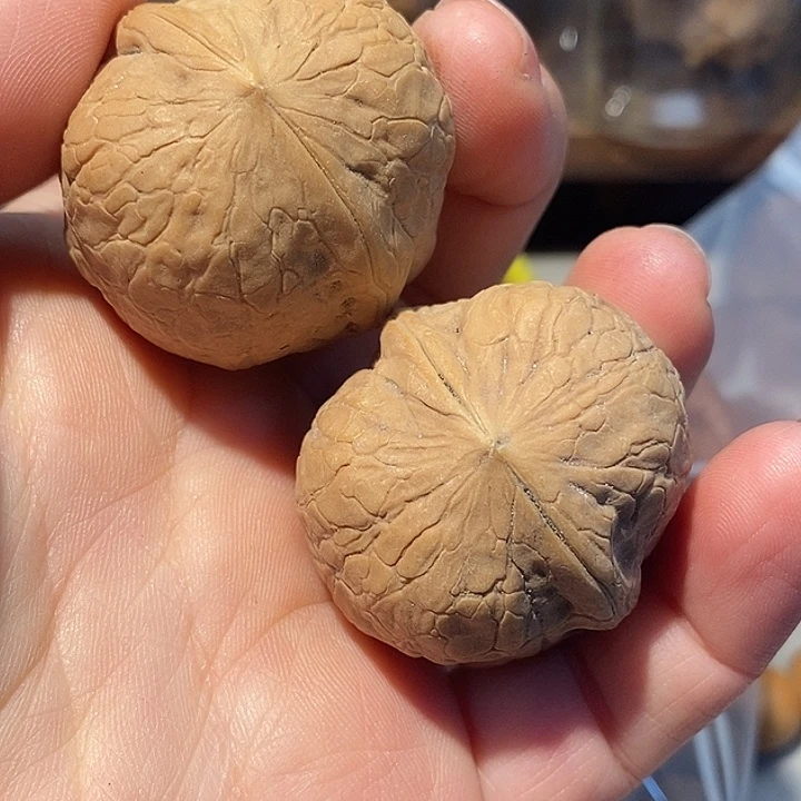 把件文玩核桃6666666666