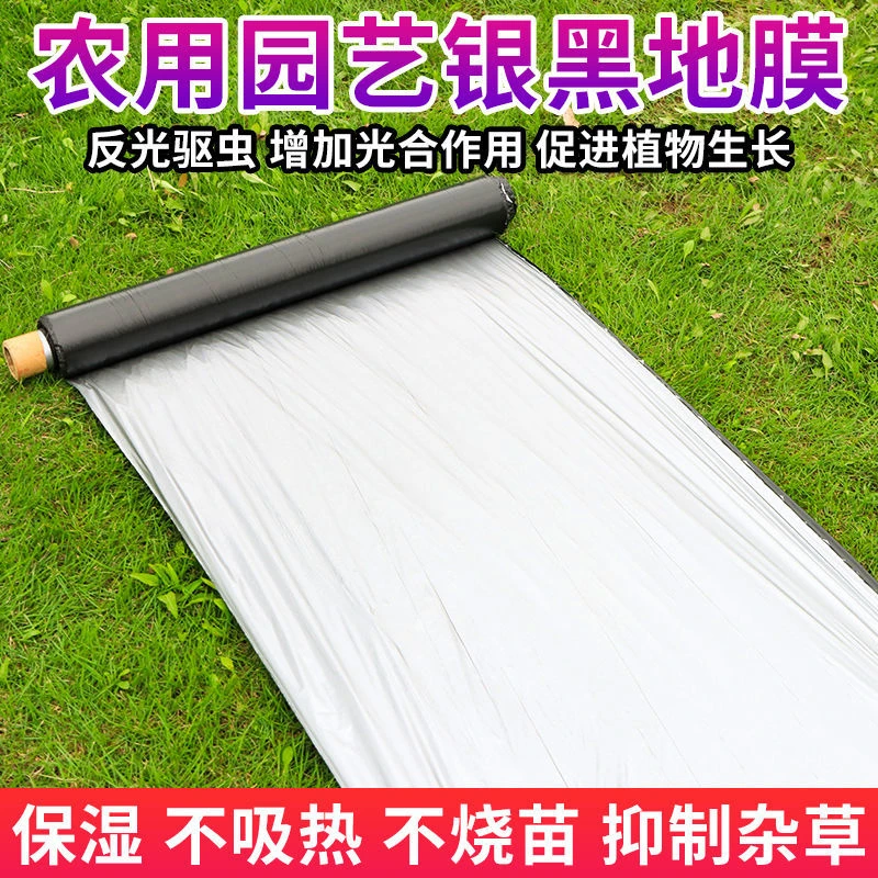 农用银黑双色地膜反光保湿降温除虫除草盖草果树果园蔬菜大棚专用