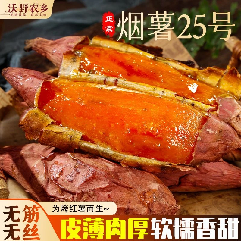 沃野农乡|正宗烟薯25号烤薯店同款软糯香甜山东河北25年新薯中秋