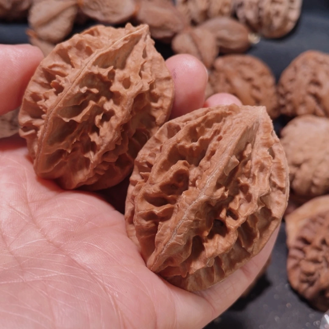 【闪购商品】把件文玩核桃用****8东北楸子17