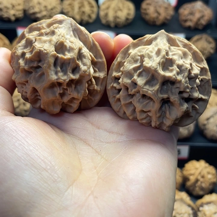 文玩核桃把件秦岭大花50