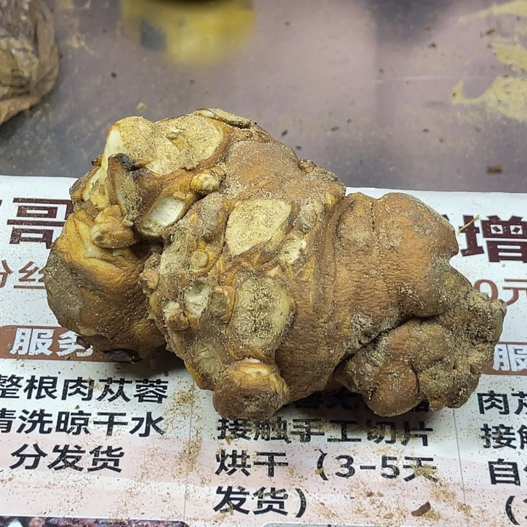 中国大陆470克老根