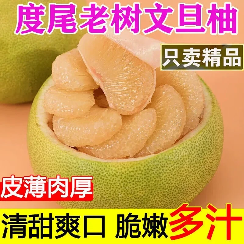 【顺丰包邮】福建仙游度尾文旦柚老树应季时令柚子当季新鲜孕妇水果