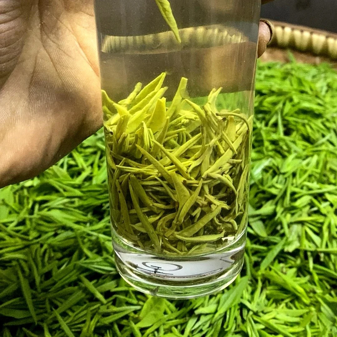 高山云雾手工炒高香纯牙高山绿茶浓香醇