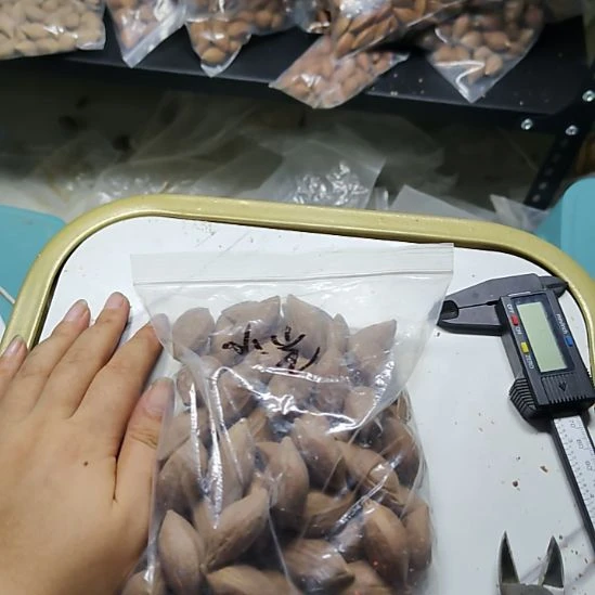 没***心吊坠橄榄核散籽一包