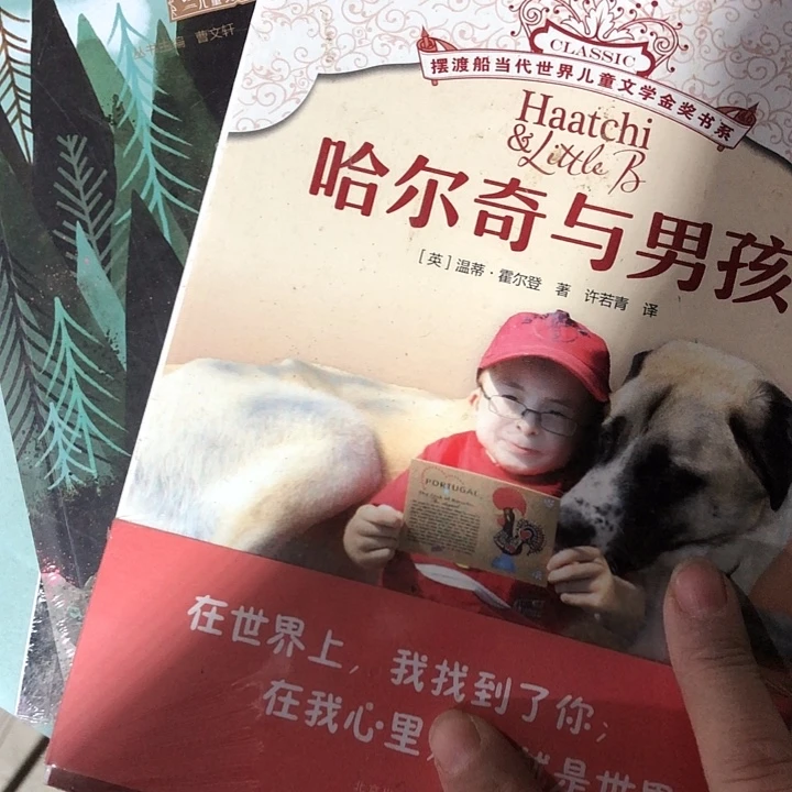 荒岛机器人，哈尔奇和男孩两本